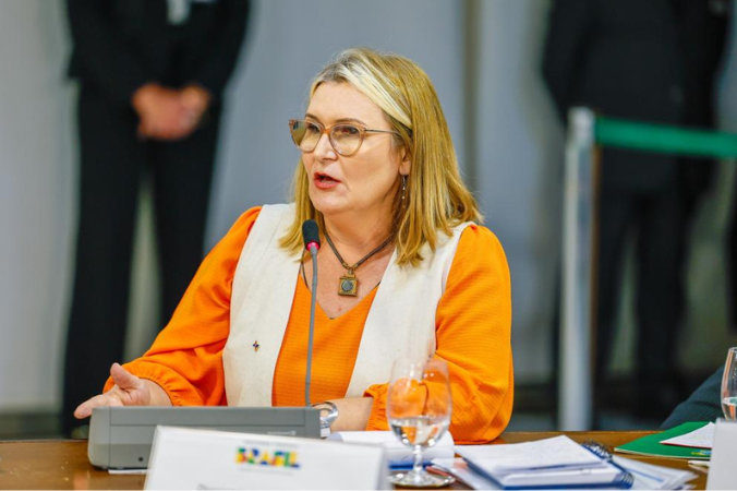 Rita Serrano participa de reunião ministerial no Palácio do Planalto